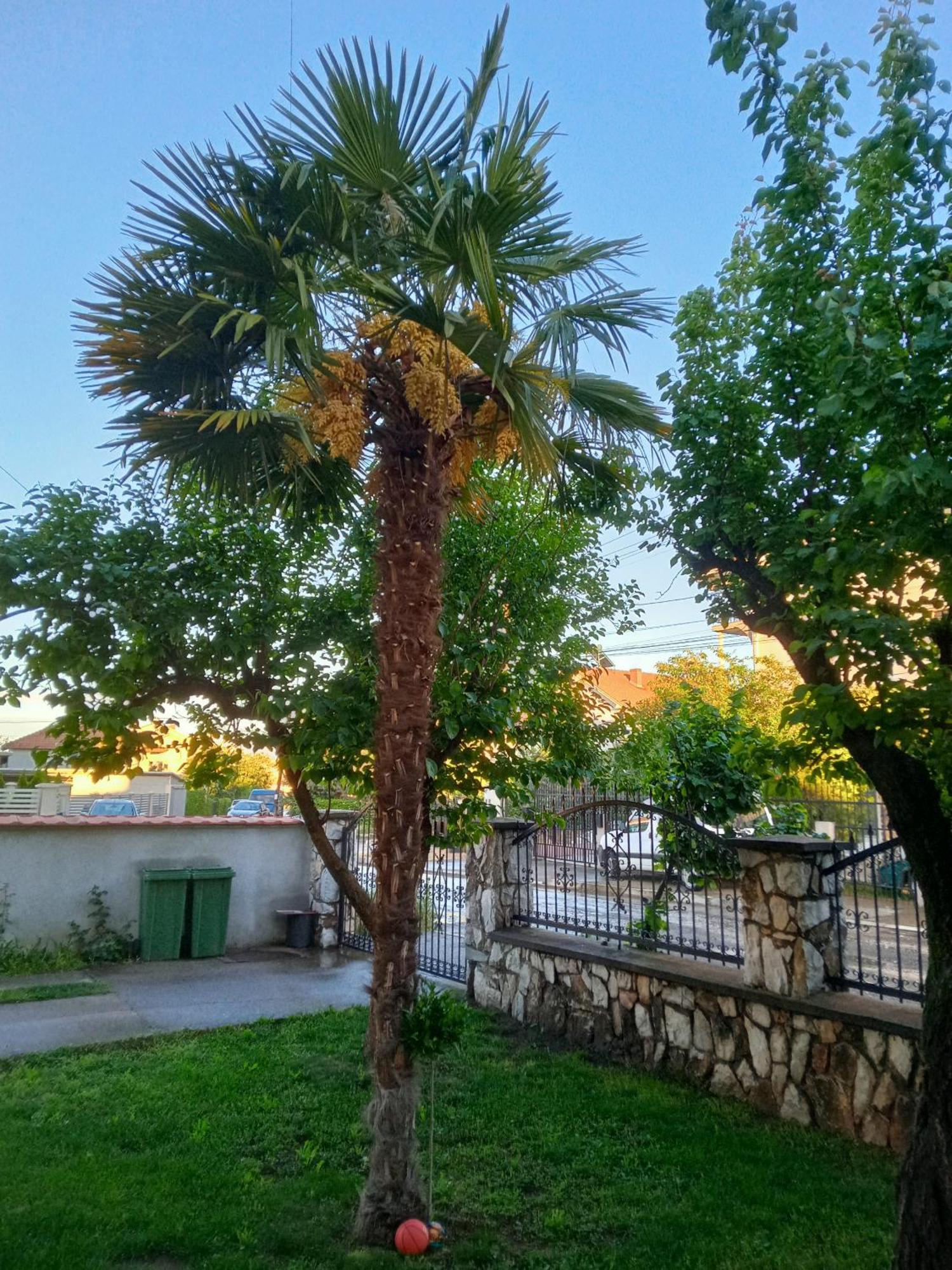 Apartman Zafirovi Gevgelija Exterior photo
